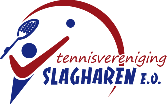 Logo_TV-Slagharen