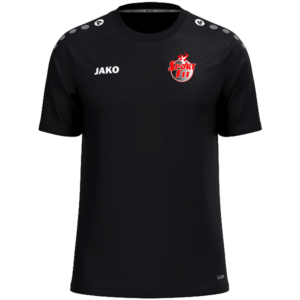 Shirt One Sportfit Dedemsvaart